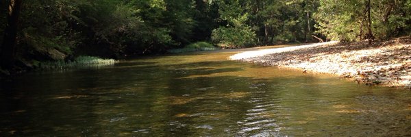 katheryn_shatto Profile Banner