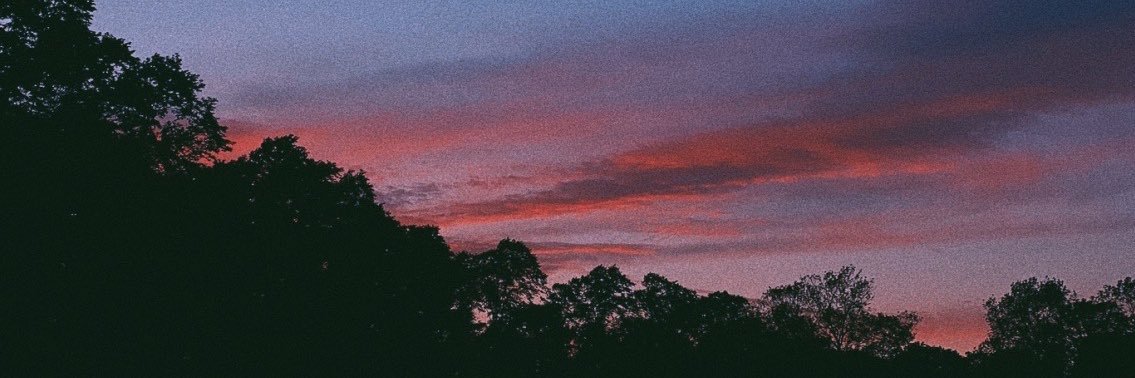 danayaqoobi's profile banner image