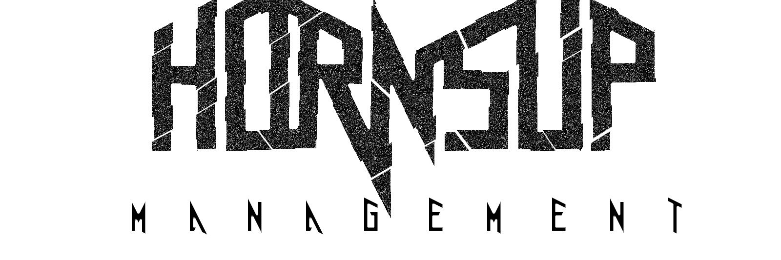 hornsupmgmt's profile banner image