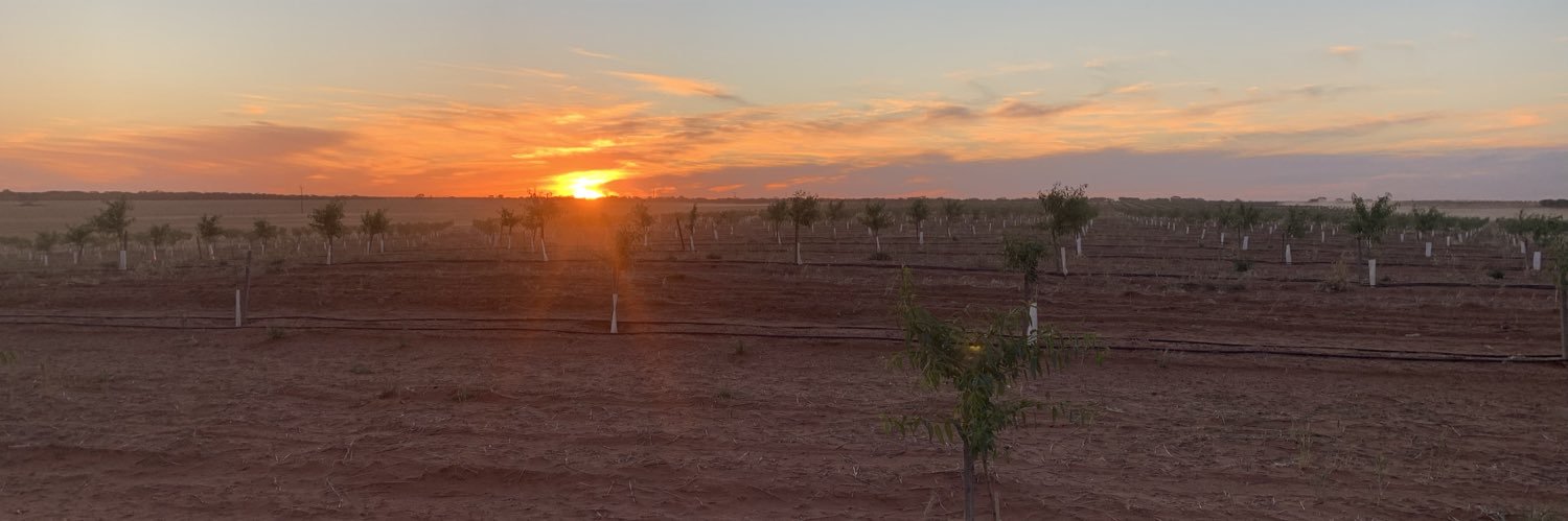 Talitha Gollan banner