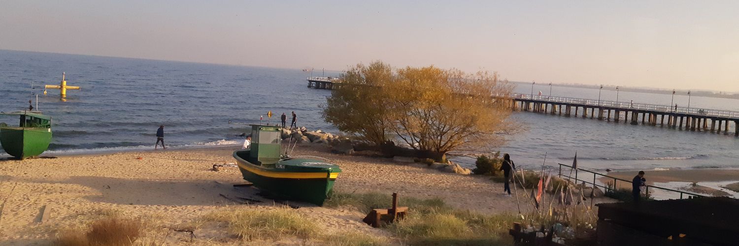 Jillian H 🇮🇪🇺🇦🇪🇺🌻 banner