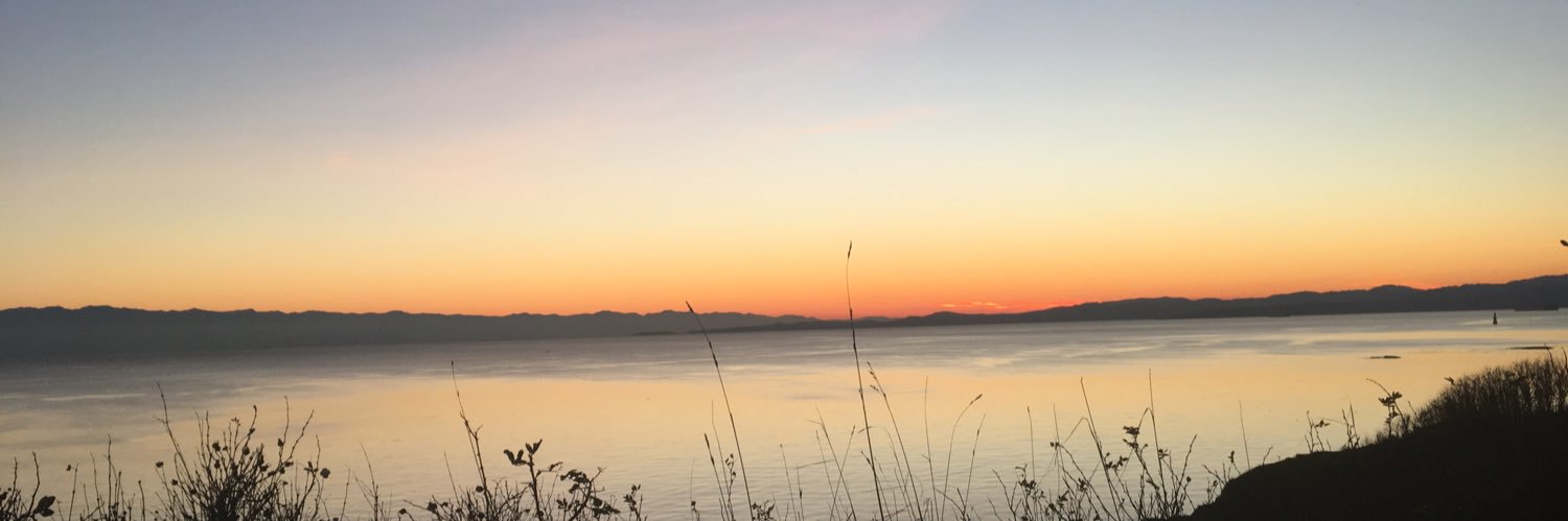 microfauna's profile banner image