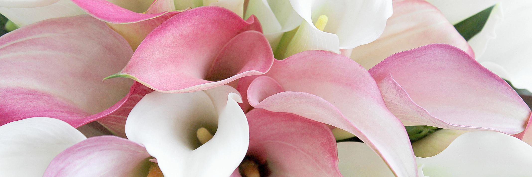 BowKayFlowers's profile banner image