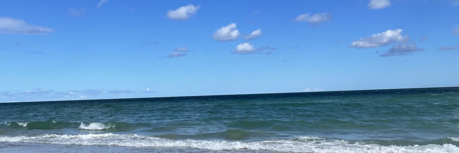 shirlesbee's profile banner image
