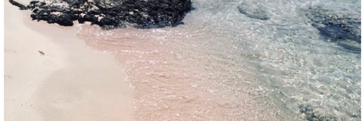 Felicia Eklund banner