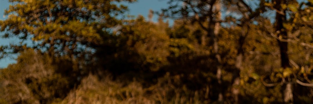 Brbarafadani's profile banner image