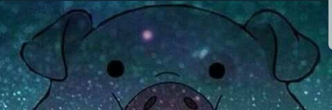 Molly 🐽 banner