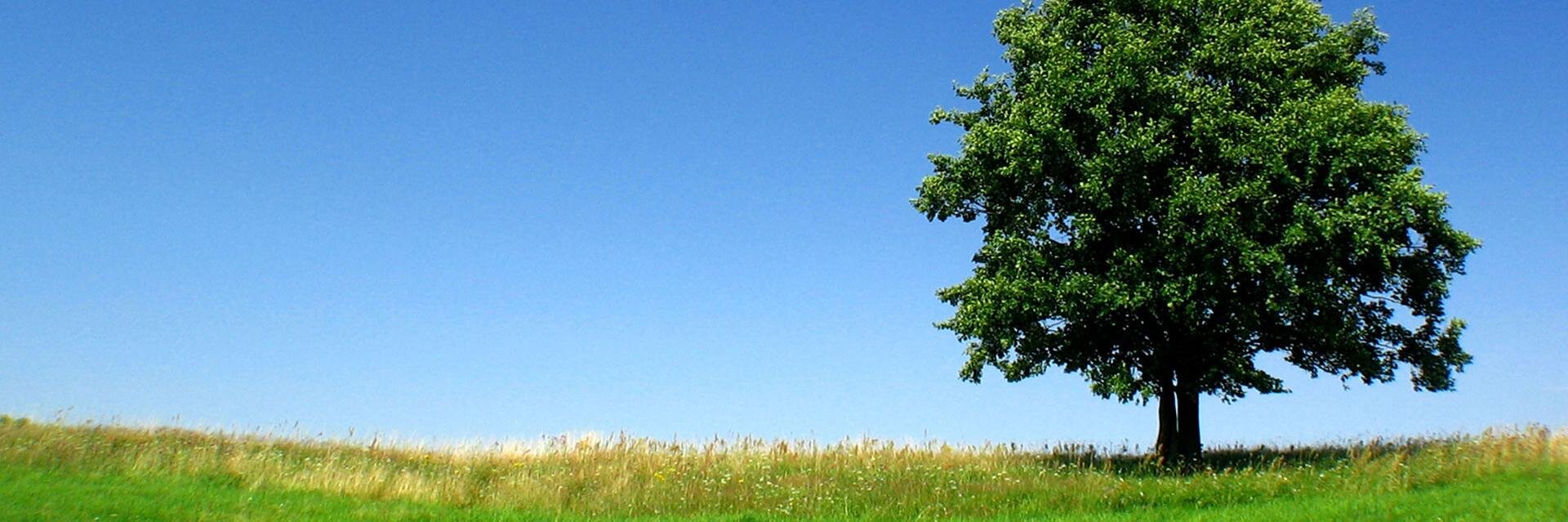 ferrpedroza's profile banner image