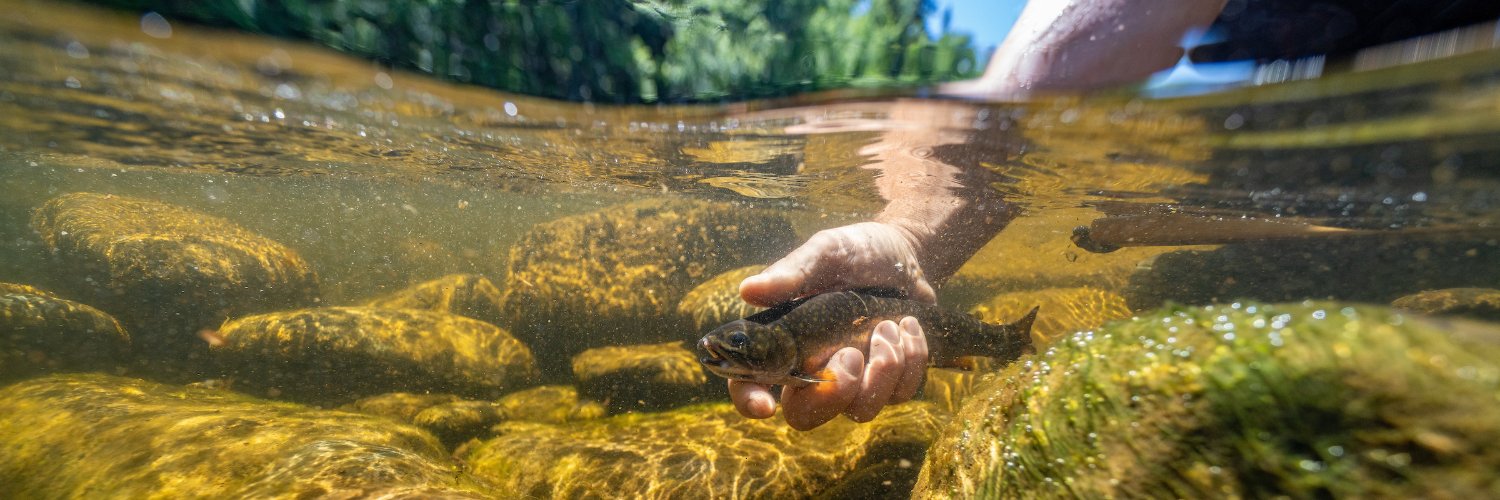 TroutUnlimited's profile banner image