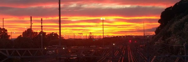 blackllama Profile Banner