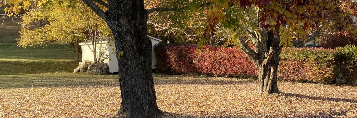 Jeff_Roberson's profile banner image