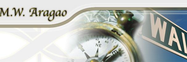 MWAragaoInv's profile banner image