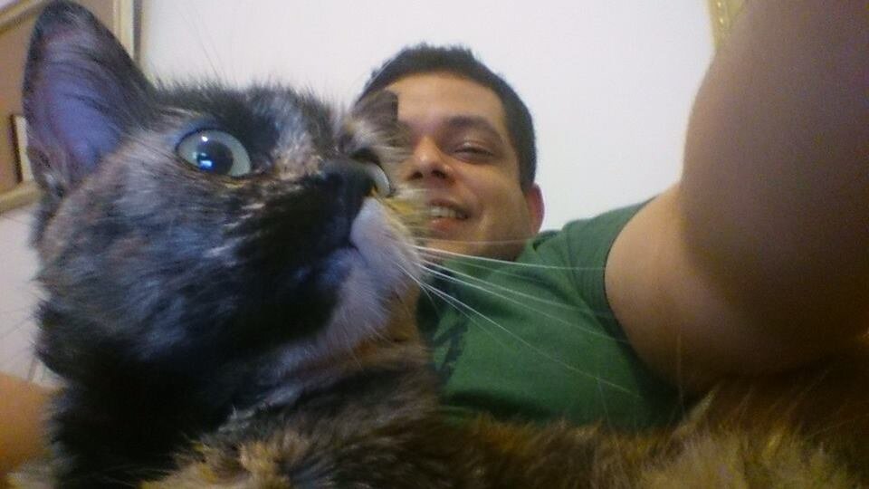 felipebalocco's profile banner image