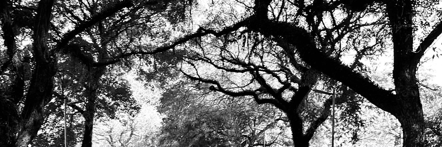 eualvesleo's profile banner image