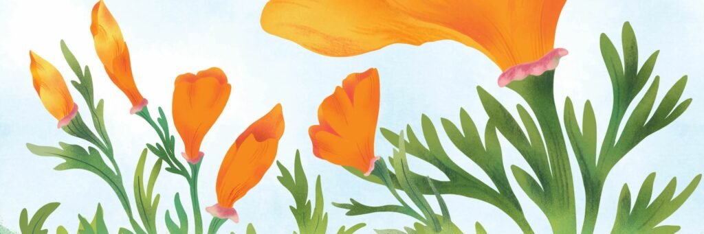 West Margin Press banner