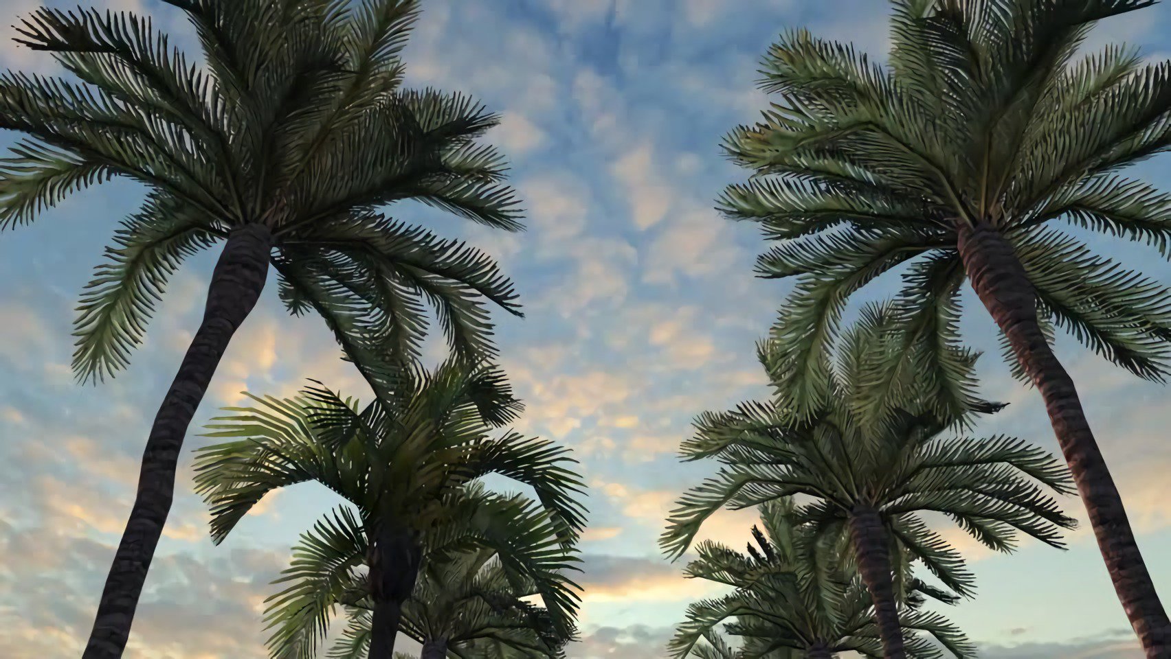 eellipsis6's profile banner image