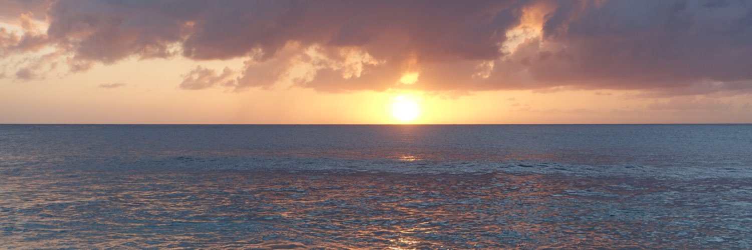 Alexandra Mandel banner