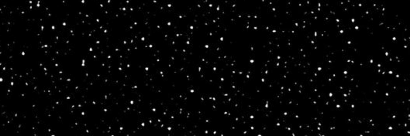 pastifeifer's profile banner image