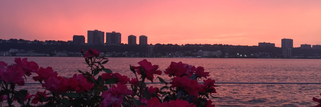 los_nyc25's profile banner image
