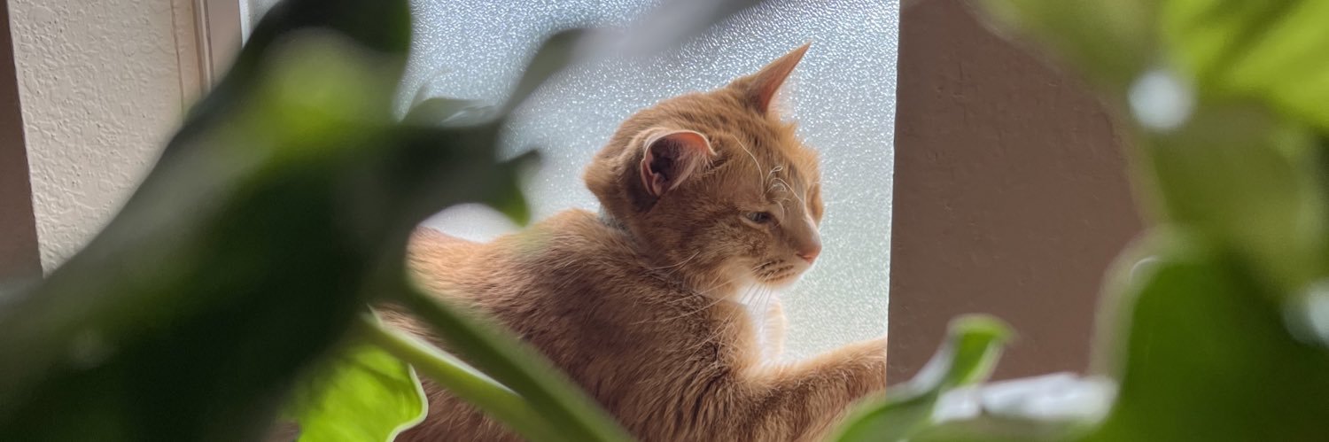 EmilyAnn_98's profile banner image