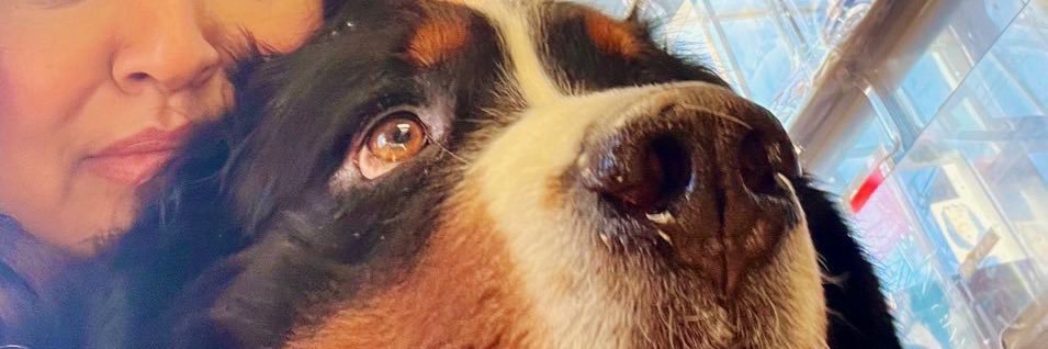 RevaliTheBerner banner