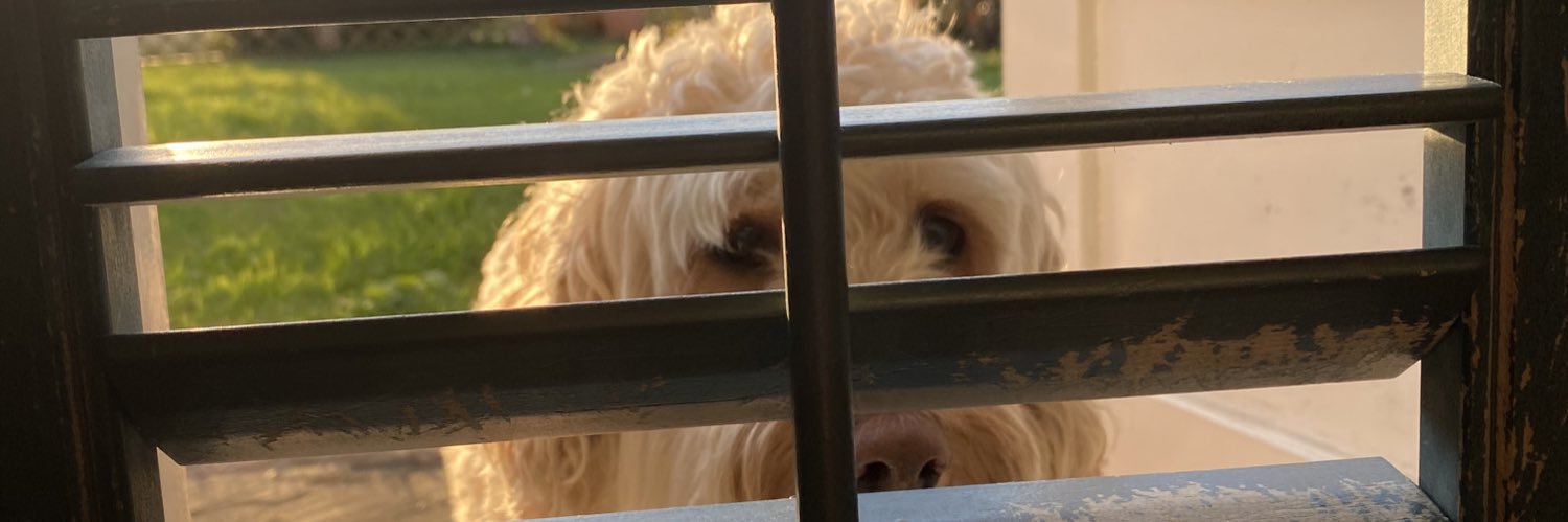 Jessischrist47's profile banner image