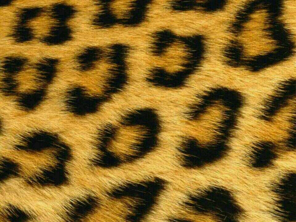 ms_beeeee's profile banner image