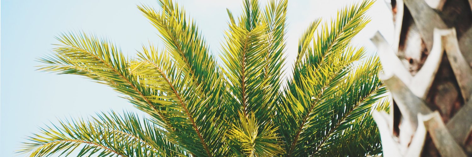 Andrew T. Hamilton banner