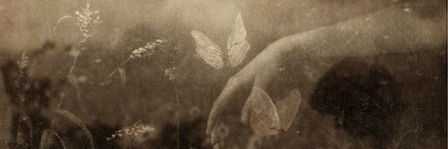 CityOfDawn's profile banner image