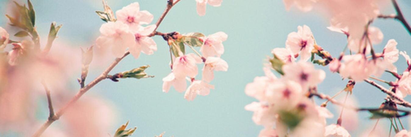 CSJamieson's profile banner image