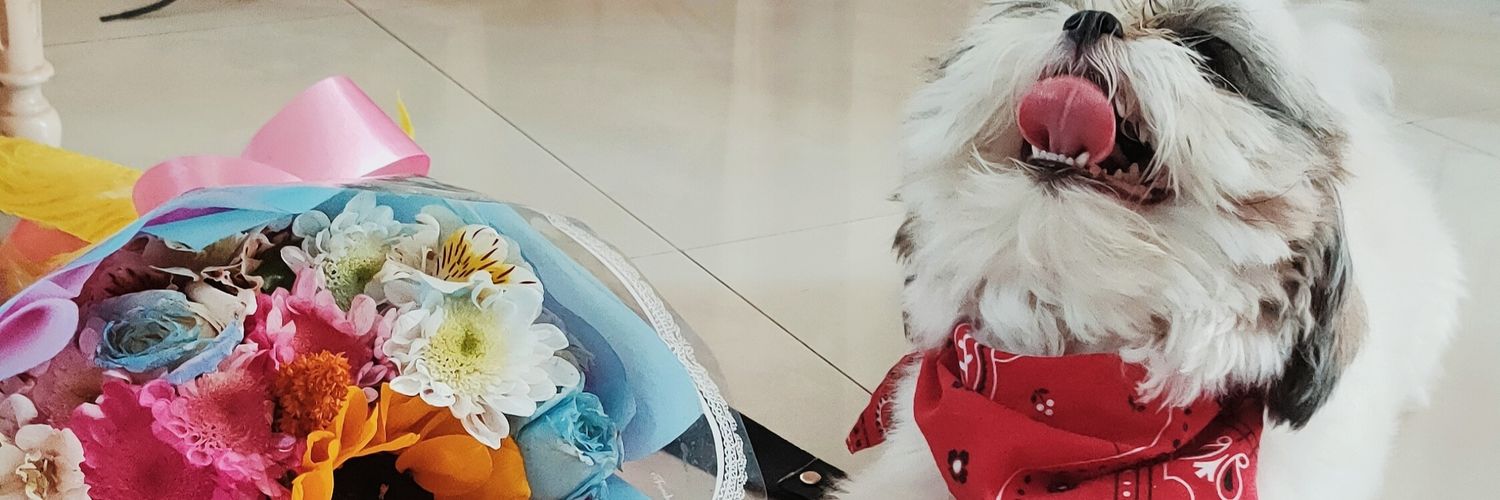 ann47iz3's profile banner image