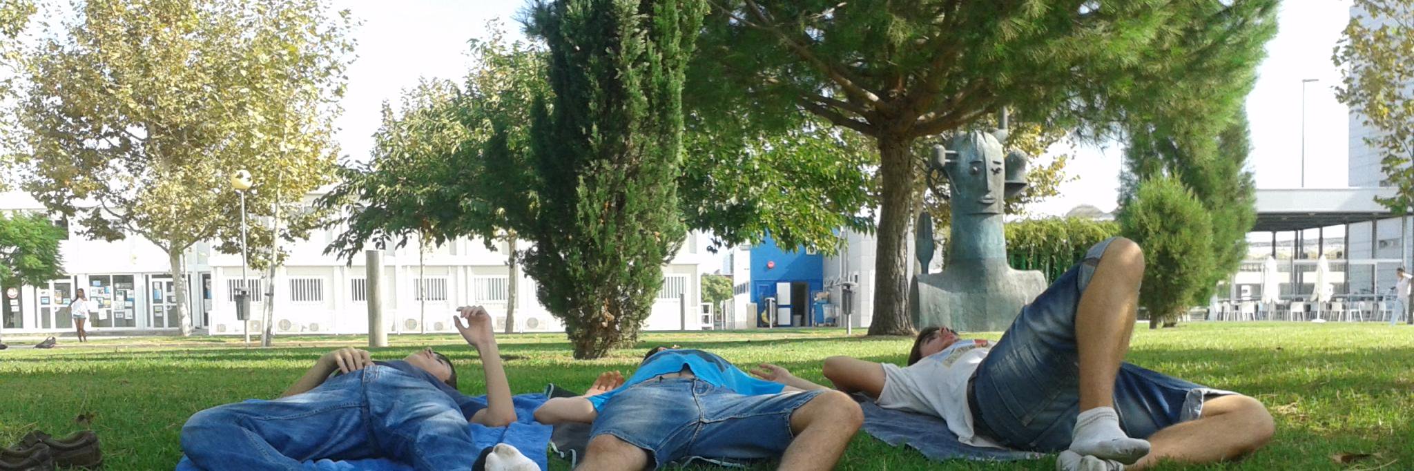 Adrià 🌲🌳 banner