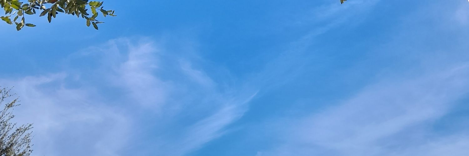 Iamkarigonzalez's profile banner image