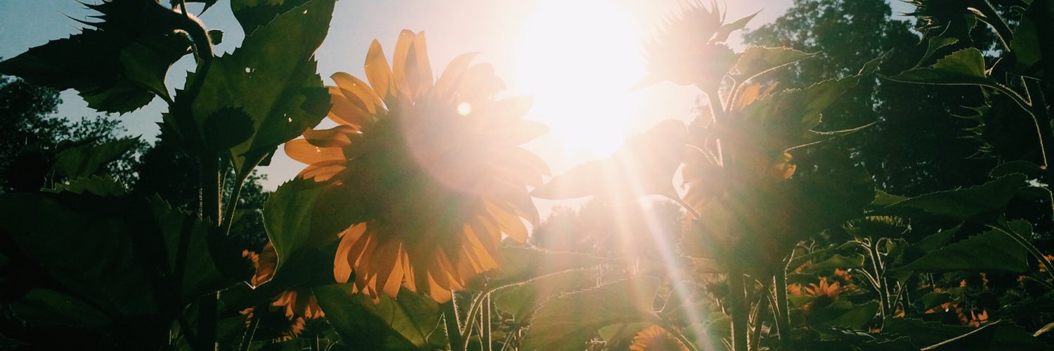 madsmeetsworld's profile banner image