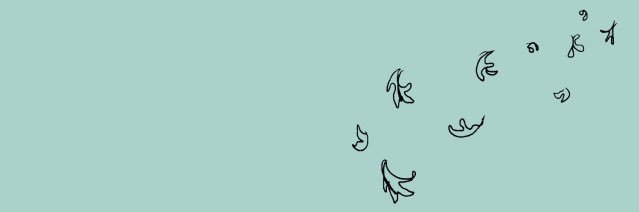 metricdisco's profile banner image