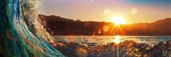 DrewToeaina's profile banner image
