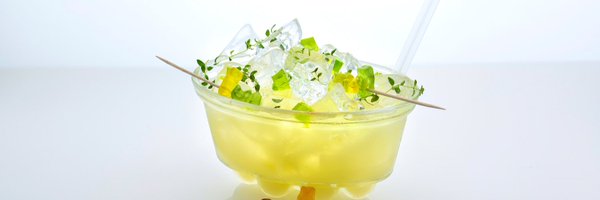 shrubshutter336 Profile Banner