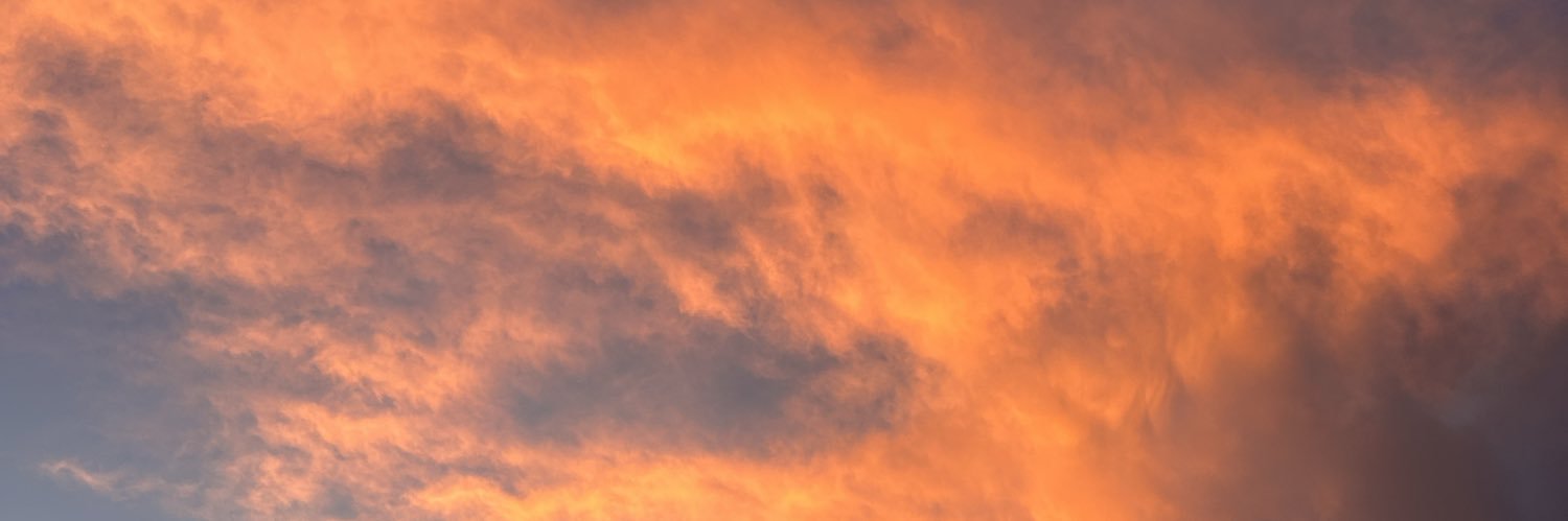 AleeTarango's profile banner image