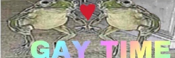 CongestedKitten's profile banner image