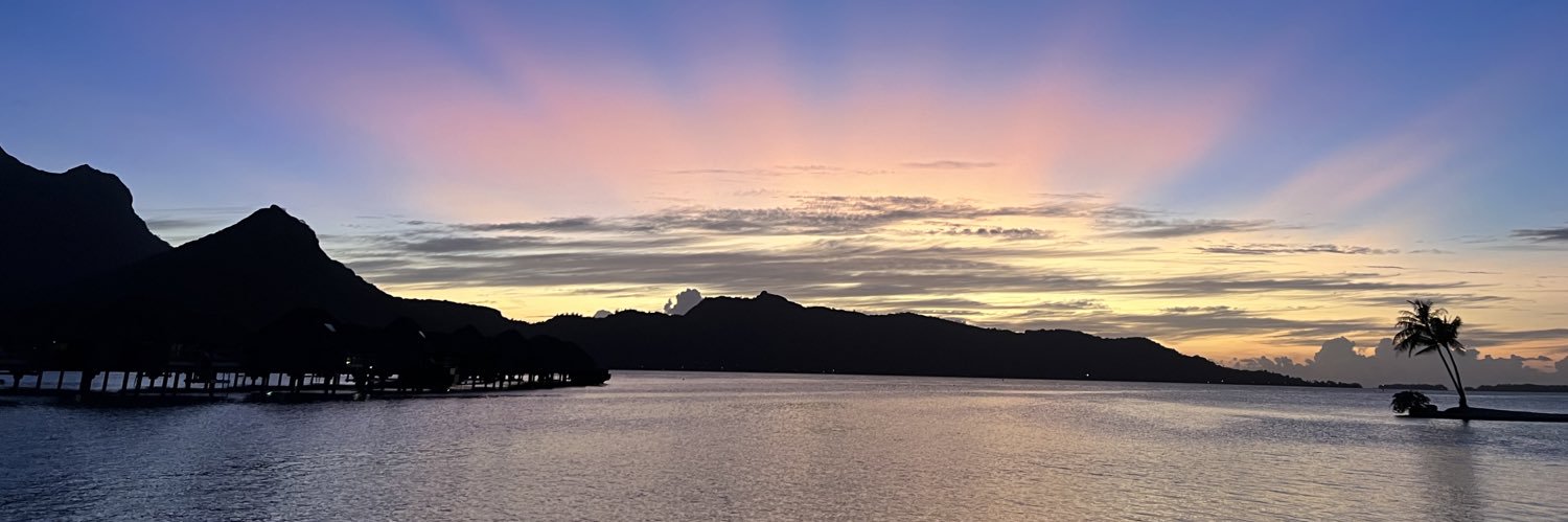 Jen Pollack Bianco banner