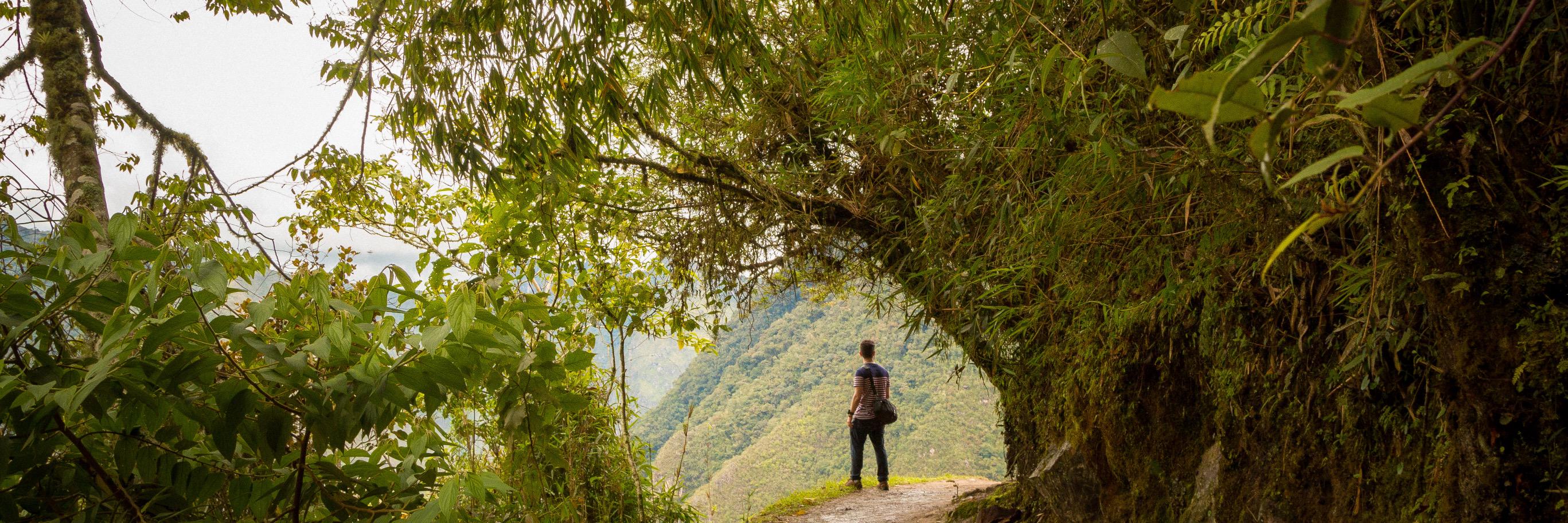 rodrigomttos's profile banner image