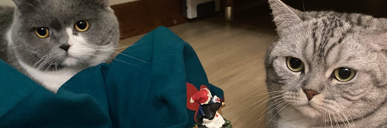 foreveraltf4's profile banner image