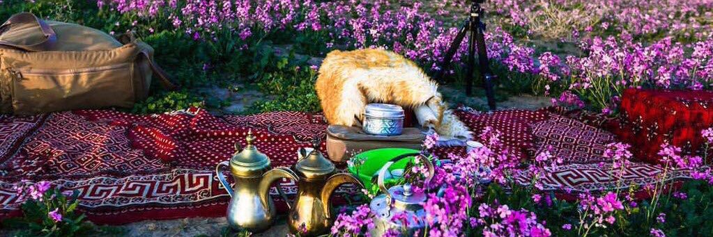 Raddad_f's profile banner image