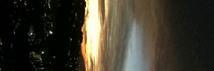 LabradorCesar's profile banner image