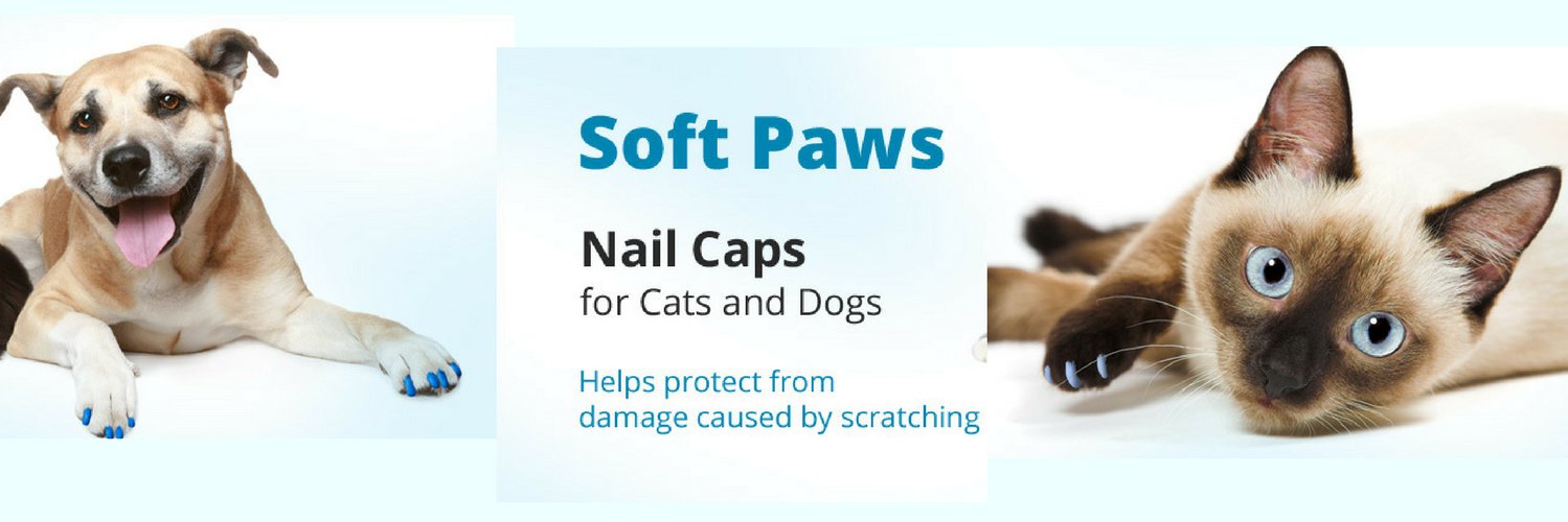 Soft Paws banner