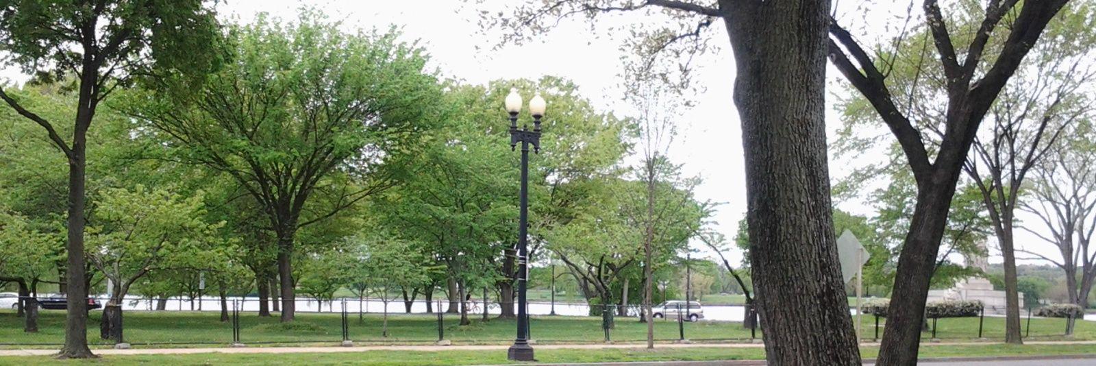 Columba Casillas O banner