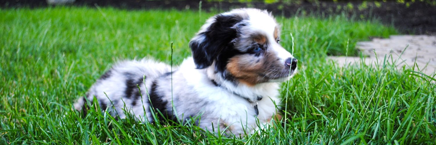 bailey__wilson's profile banner image