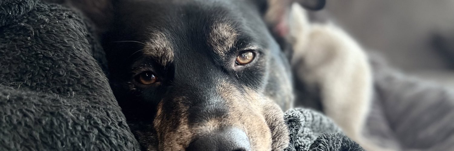 brdy_dean's profile banner image