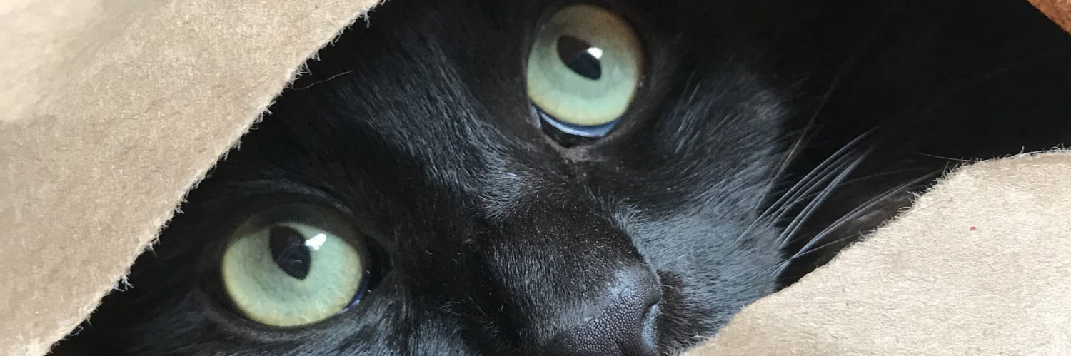 SheylaSouto_'s profile banner image