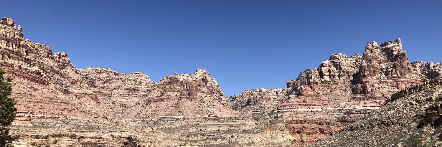 scterry's profile banner image